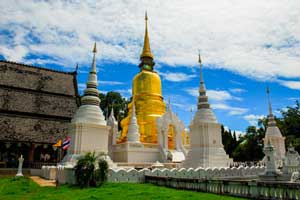 Wat Suan Dok - Chiang Mai